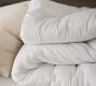 Dream Brushed Cotton Comforter