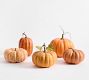 Faux Pumpkins &amp; Gourds - Set of 5