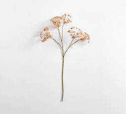 Faux Queen Anne's Lace Branch