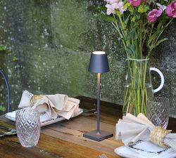 Zafferano Poldina Pro Micro Wireless Touch Light