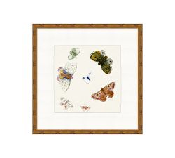 Butterfly Flurry Framed Print