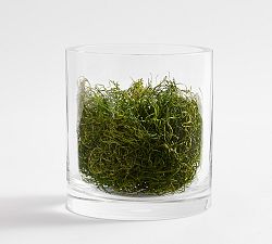 Reindeer Moss Vase Filler