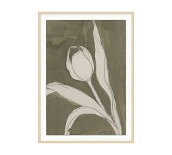 Sage Tulip Framed Print