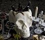 Skull Terracotta Party Bucket