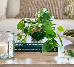 Faux Potted Trailing Houseplant