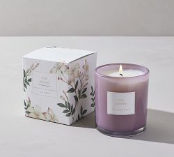 Pink Jasmine Scent Collection
