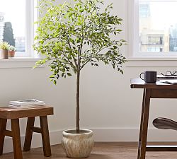 Faux Potted Triangular Ficus