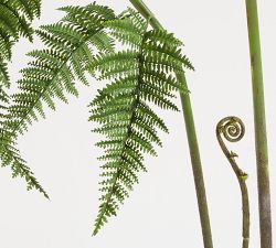 Faux Potted Fern tree