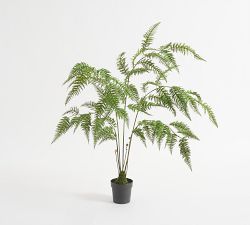 Faux Potted Fern tree