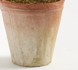 Faux Boxwood Topiary