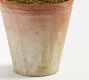Faux Boxwood Topiary