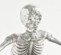 Skeleton Candy Bowl