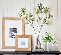 Faux Dracaena Branch