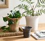Faux Potted Wide Trunk Fern