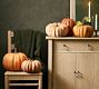 Faux Pumpkins &amp; Gourds - Set of 5