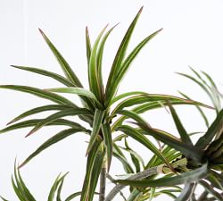 Faux Dracaena Branch