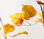 Faux Oversized Autumn Aspen Tree Branch