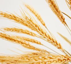 Faux Wheat Bundle