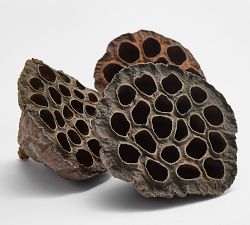 Lotus Pod Vase Filler