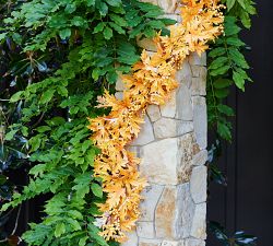 Handcrafted Lit Aspen Wreath &amp; Garland