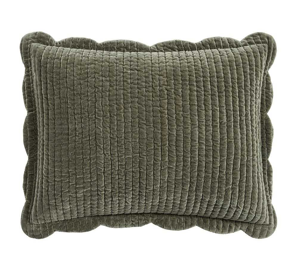 Velvet Scalloped Edge Reversible Quilted Sham - Loden, Standard
