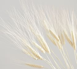 Bleached Wheat Bundle