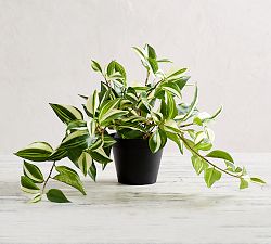 Faux Wandering Variegated Tradescantia Houseplant