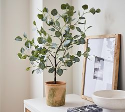 Faux Silver Dollar Eucalyptus Mini Tree