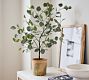 Faux Silver Dollar Eucalyptus Mini Tree