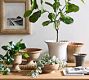 Palermo Planters