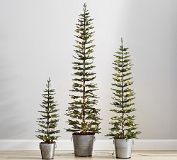 Pre-Lit Pine Trees in Galvanized Bucket