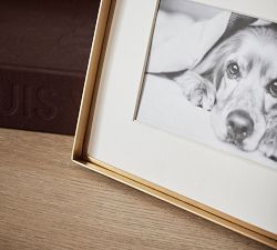 Horn and Brass Assorted Frames