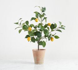 Monique Lhuillier Faux Lemon Tree