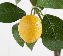 Monique Lhuillier Faux Lemon Tree