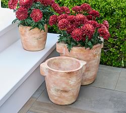 Cosa Terracotta Outdoor Planters
