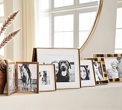 Horn and Brass Assorted Frames