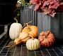 Faux Pumpkins &amp; Gourds - Set of 5