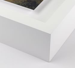 Last Light by Aileen Fitzgerald