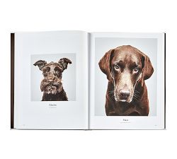 Good Dog Leather-Bound Book