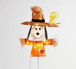 Peanuts™ Lit Harvest Snoopy™ &amp; Woodstock™