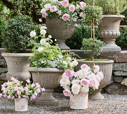 LoveShackFancy Planter Collection