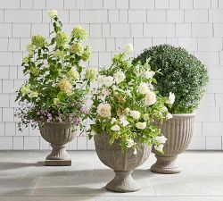 LoveShackFancy Planter Collection