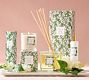 Bloom Scent Collection - White Lilac &amp; Violet
