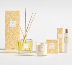 Bloom Scent Collection - Orange &amp; Vetiver