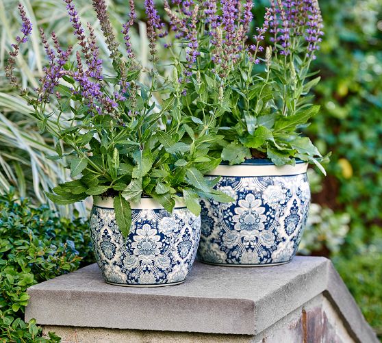 Kravet Arboretum Cachepots | Pottery Barn