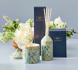 Kravet Meadowlark Scent Collection - Blooming Peony