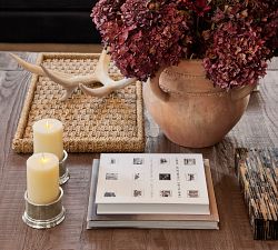 Antler Decorative Object