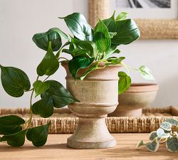 Faux Potted Trailing Houseplant