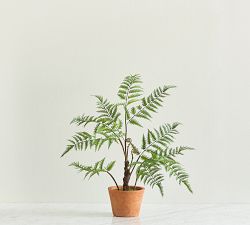 Faux Potted Wide Trunk Fern