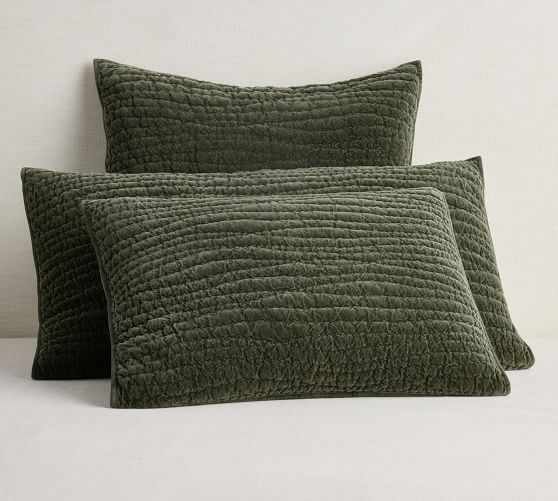 Pottery Barn Velvet Sham - Thumbnail 2